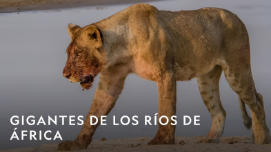 Imagen de Gigantes de los ríos de África - 8