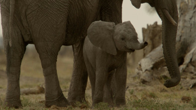 Imagen de Mara: el renacer de la...: El despertar - 9