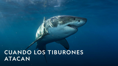 Imagen de Especial Cuando los...: Especial Cuando los tiburones atacan 5 3 - 3