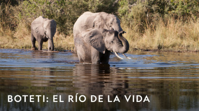 Imagen de Boteti: el río de...: Muerte en el polvo - 8