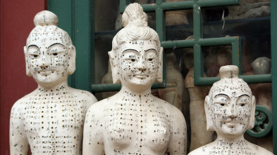 Imagen de Misterios De La...: Medicina con momias, el rey de los venenos, baños de vapor mayas - 5