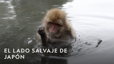 Imagen de El lado salvaje de...: Nuevas Generaciones - 8