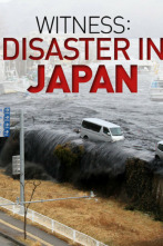 Imagen de Testigos: la tragedia de Japón - 4