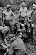 Dentro de la Segunda Guerra Mundial 