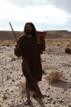 Imagen de La vida secreta de los Apóstoles - 8