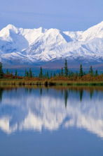 Imagen de Alaska salvaje - 13