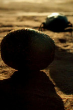 Nuestro planeta (One...: Alienígena