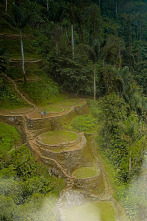 Imagen de Especial Ciudades perdidas con Albert Lin  - 4