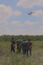 La Frontera: Animales en primera línea