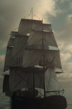 Imagen de Drenar los océanos: El Álamo - 3