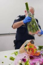Imagen de Control de...: Métodos de narcotráfico variopintos - 3