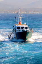 Alerta en el mar