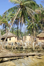 Imagen de Tsunami: La carrera...: Tailandia - 3