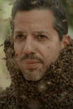 David Blaine: Retos...: Sudáfrica