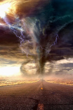 Imagen de Tras el desastre  - 4