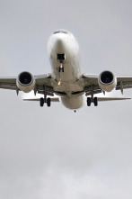 Imagen de Dentro del aeropuerto...: Hasta el cielo y más allá - 3