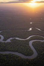 Imagen de Amazonia americana  - 3