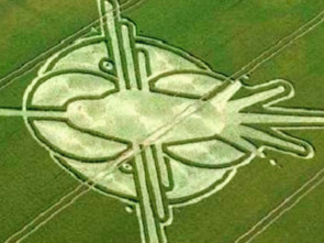 Imagen de Paranormal: Los círculos de los campos de cultivo - 1