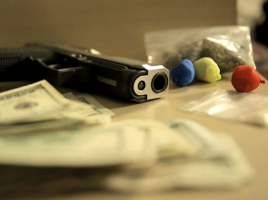 Imagen de El negocio de la droga: Porros en las Rocosas - 1