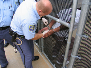 Imagen de Cárceles: Trapicheos entre rejas  - 3