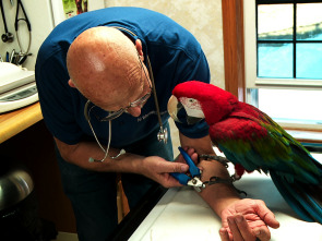 Imagen de El increíble doctor Pol: 