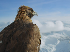 Imagen de Planeta hostil: Montañas - 3