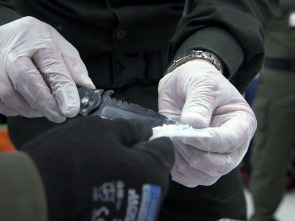 Imagen de Alerta aeropuerto:...: Pasajeros habituales - 1