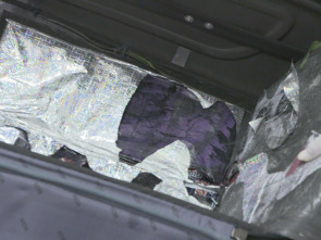 Imagen de Alerta Aeropuerto 6:...: Ladrillos de cocaína - 2