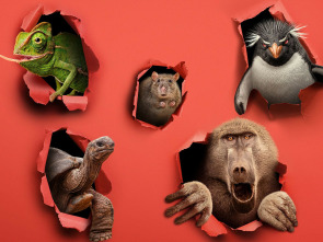 Imagen de Bichos raros (T1) - 1