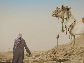 Imagen de Especial el reino de las momias  - 7