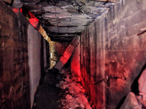 Imagen de Hitler: Las cintas...: El Tercer Reich - 2