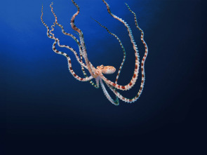 Imagen de Los secretos de los...: Mentes maestras - 2