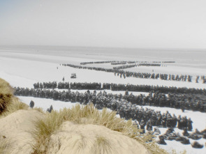 Segunda Guerra...: La batalla de Kursk