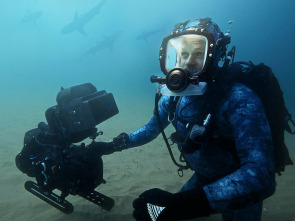 Imagen de Tiburones en primer plano con Bertie Gregory - 2