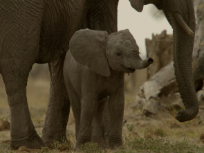 Imagen de Mara: el renacer de la...: El despertar - 7