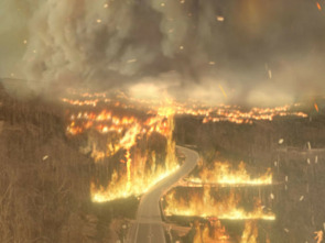Imagen de Witness to Disaster  - 1
