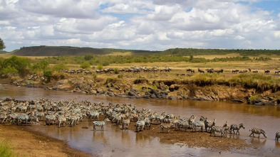 El río más sangriento de África