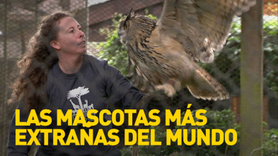 Imagen de Las mascotas más raras del mundo  - 5