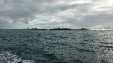 Imagen de Wild Hawaii: Tierra de fuego - 3