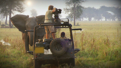 Imagen de La guerra de los elefantes - 3