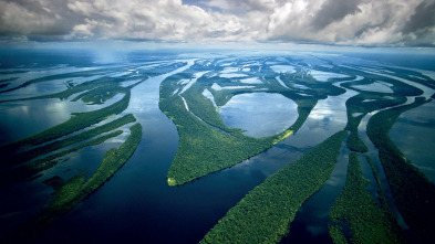 Amazonía - Un mundo de agua dulce
