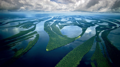Imagen de Amazonía: Paraíso depredador - 3