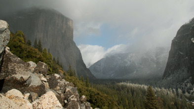 Los grandes parques de...: Yellowstone