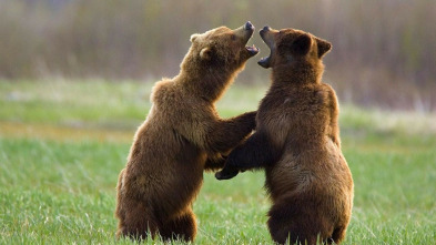 Imagen de Instintos letales: Nacido para correr - 3