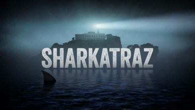 Imagen de Sharkatraz - 5