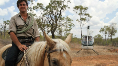 Un vaquero australiano: La leyenda del cocodrilo