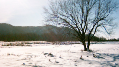 Imagen de Especial Mississippi salvaje - 5