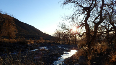 Imagen de Wild Mongolia: tierra...: Pradera extrema - 5