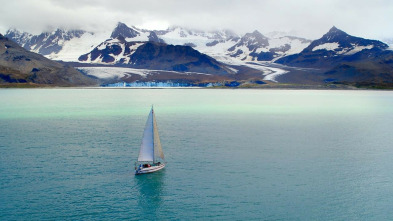 Imagen de Vida salvaje: la isla de la Resurrección - 5