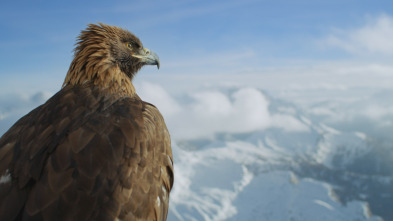 Imagen de Planeta hostil: Desiertos - 5